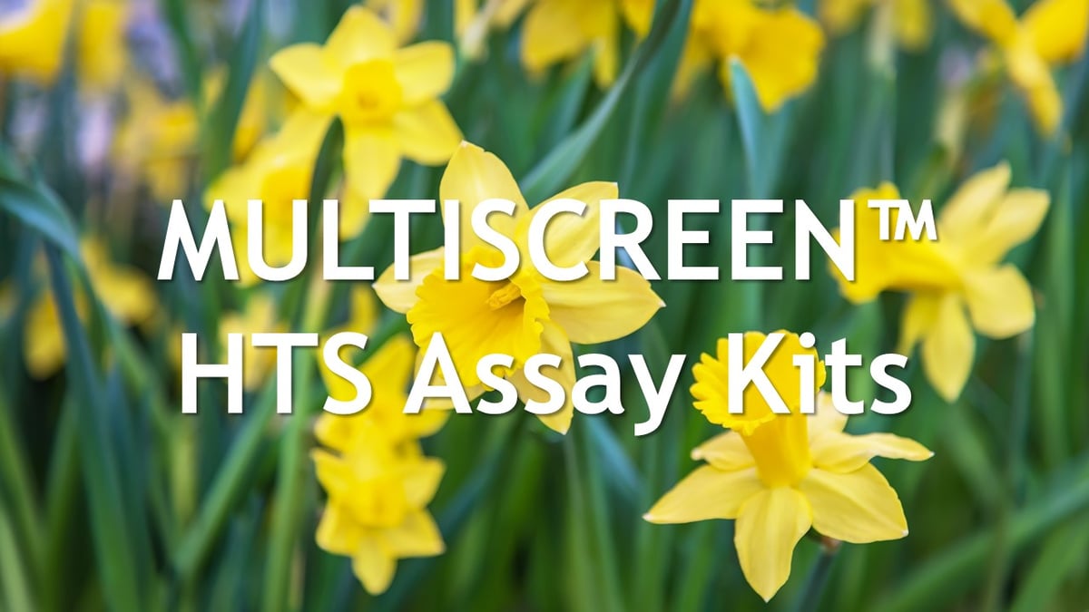 April Assay Kits Flower banner-4