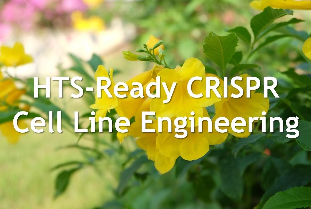 CRISPR Flower Banner-1